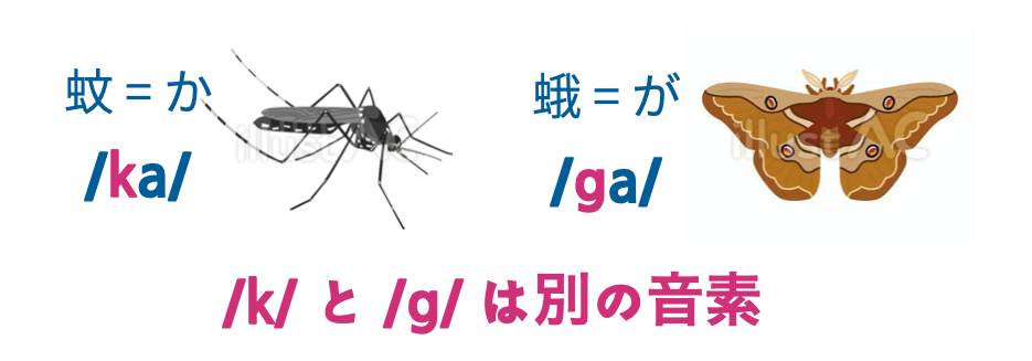 蚊と蛾